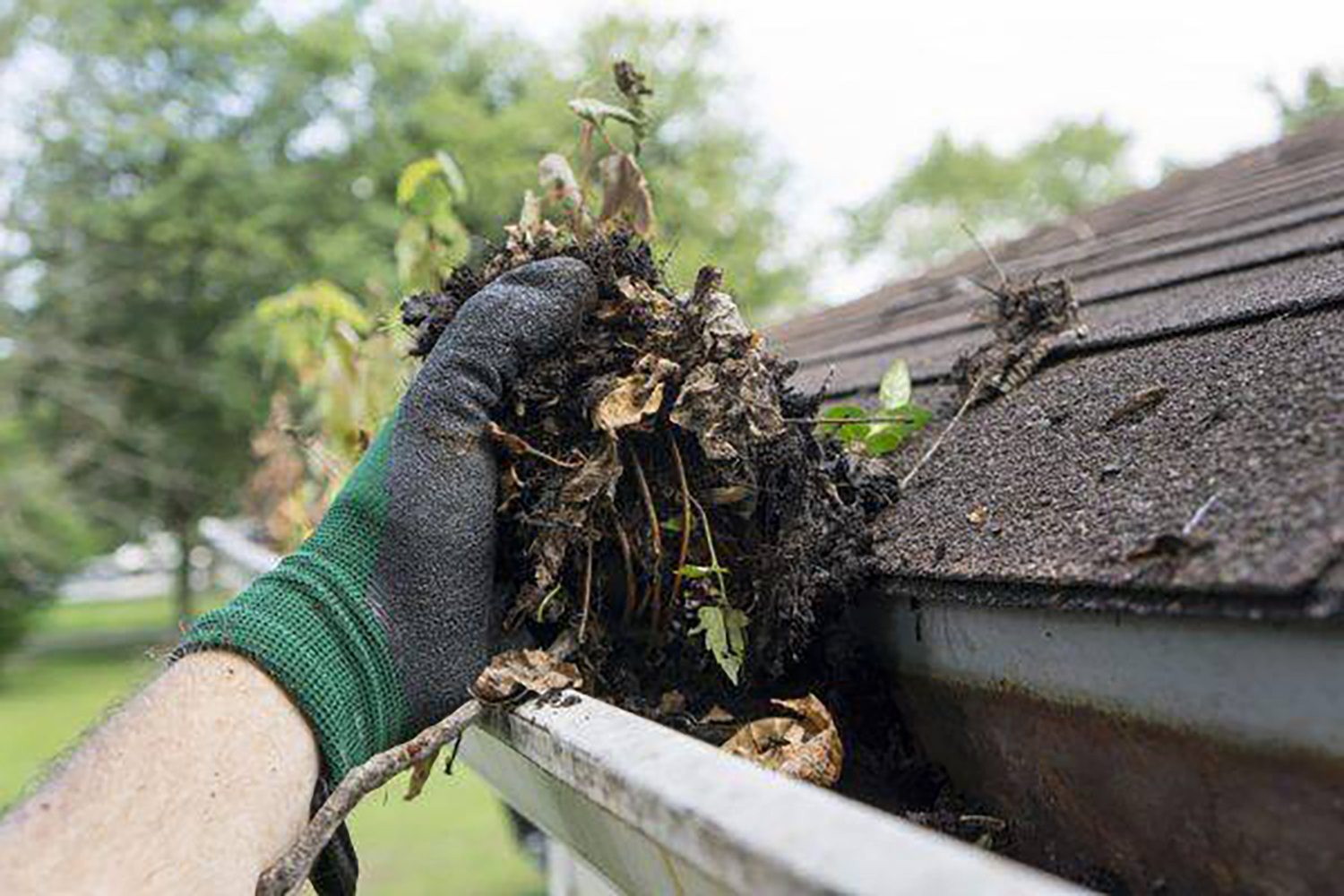Gutter Cleaning Services Pineville, NC